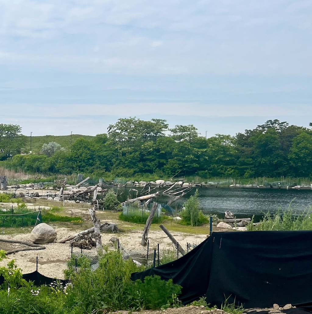 TRCA wetland reclamation at NMRP